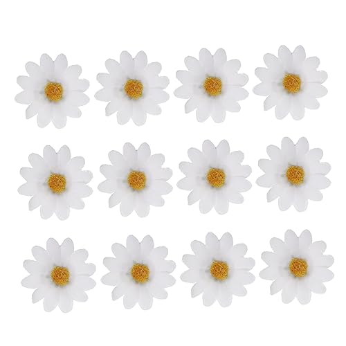 OATIPHO 12 Stück Teiliges Set Blumen Haarclips für Mädchen Daisy Haarspangen Rutschfeste Haarklammern Haarschmuck für Damen für Alltag und Besondere Anlässe OATIPHO 12 Stück Teiliges Set Blumen Haarclips für Mädchen Daisy Haarspangen Rutschfeste Haarklammern Haarschmuck für Damen für Alltag und Besondere Anlässe von OATIPHO