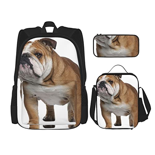 OCELIO Englisch-Bulldogge Rucksack, Teenager-Mädchen, Jungen, Schultasche für Kinder, Schultasche + Federmäppchen + Lunchtasche Kombination, Schwarz, Einheitsgröße, Rucksack, Reisen, Schwarz , Einheitsgröße, Rucksack, Reisen von OCELIO