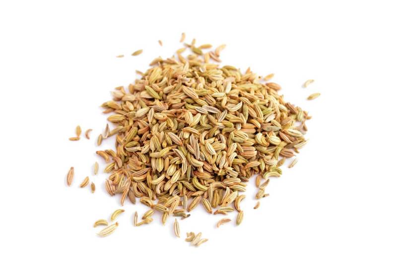 Öz Natur Samen, Fenchelsamen 150g von Öz Natur