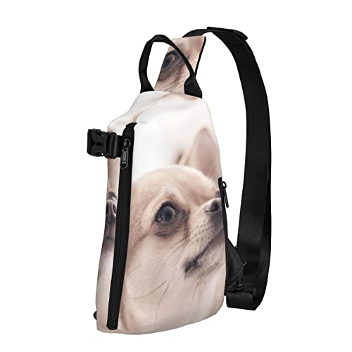 OGNOT Niedlicher Chihuahua-bedruckter Schulter-Rucksack für Männer und Frauen, für Outdoor-Spaziergänge, Reisen, Schwarz, Einheitsgröße von OGNOT