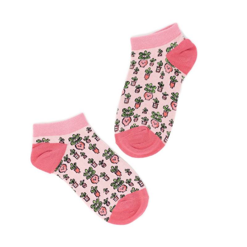 Pflanzenliebhaber Socken | Geige Geschenke Für Ficus Lyrata Wollsocken Lustige Herren Damen Söckchen von OHMYPLANTA