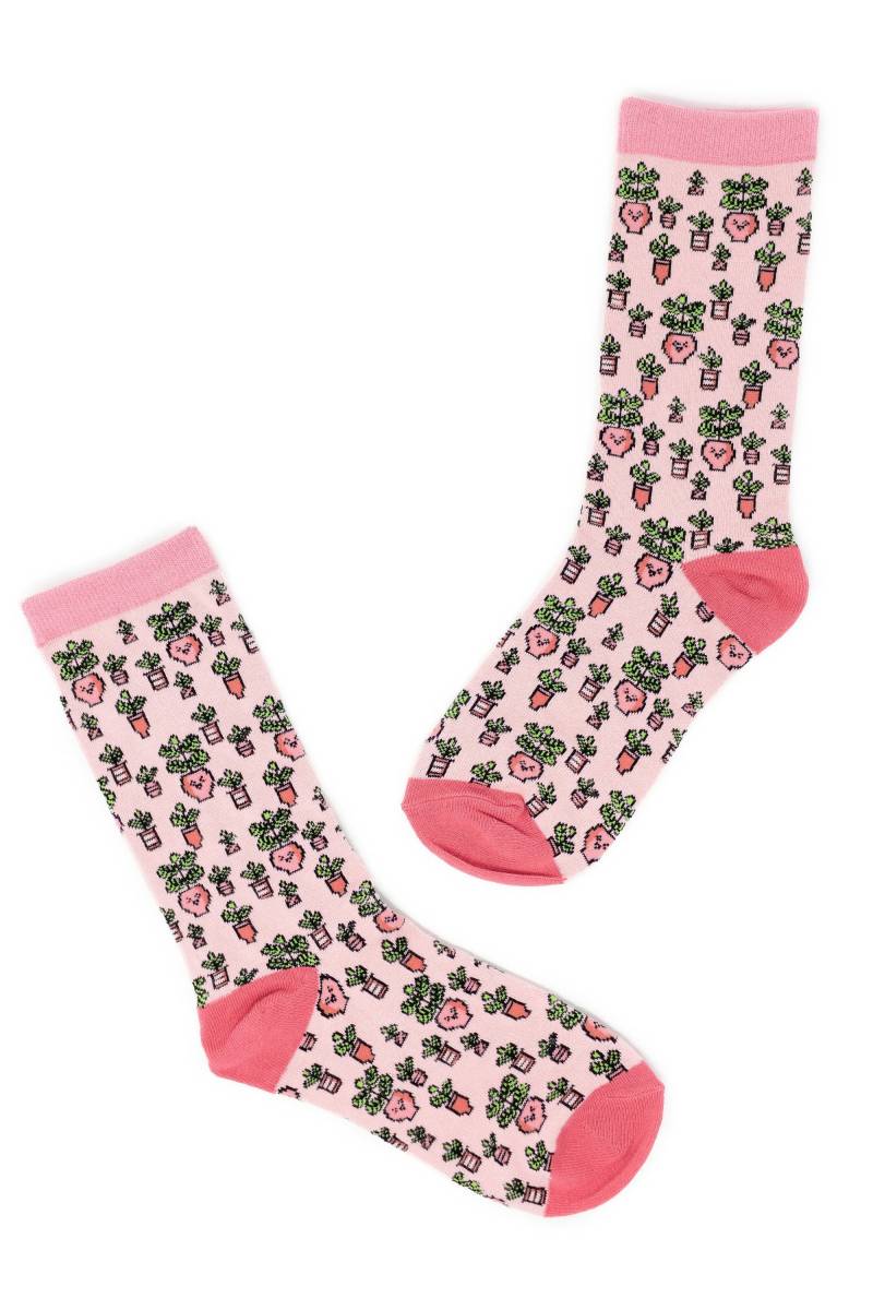 Pflanzenliebhaber Socken | Geige Geschenke Für Ficus Lyrata Wollsocken Lustige Herren Frauen von OHMYPLANTA