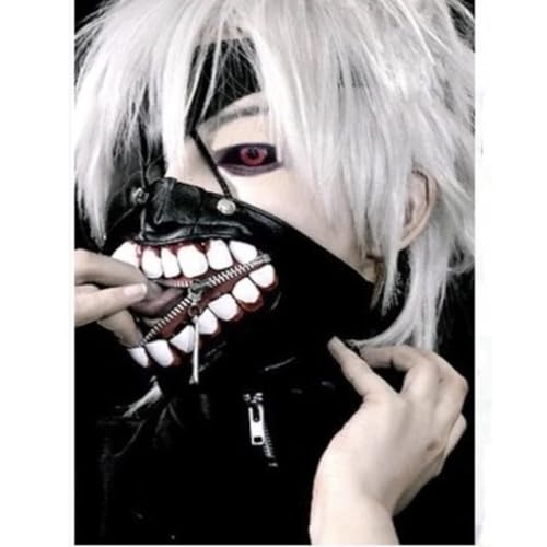 Anime Tokyos Ghouls Anime Cosplay Perücke Synthetische Perücken Mädchen Frauen Männer Perücken von OHORTLNB