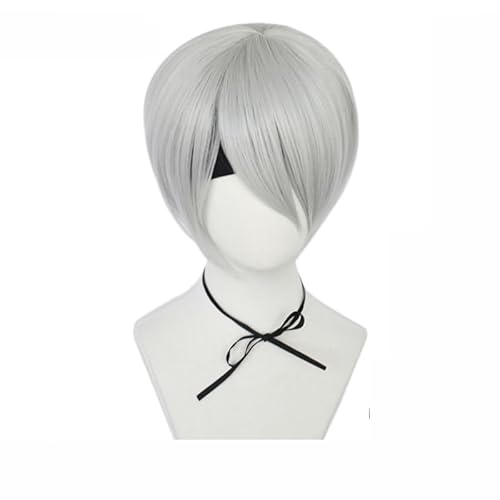 NieR:Automatas Grau Anime Cosplay Perücke Synthetische Perücken Mädchen Frauen Männer Perücken von OHORTLNB