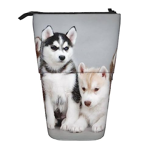 OHWODA Magisches Design nordische Runen Kompass gedruckt einziehbare Bleistifttasche, vertikales Federmäppchen, tragbare Schreibwarentasche, Schreibtisch-Organizer, Husky Welpen Hunde, Einheitsgröße, von OHWODA