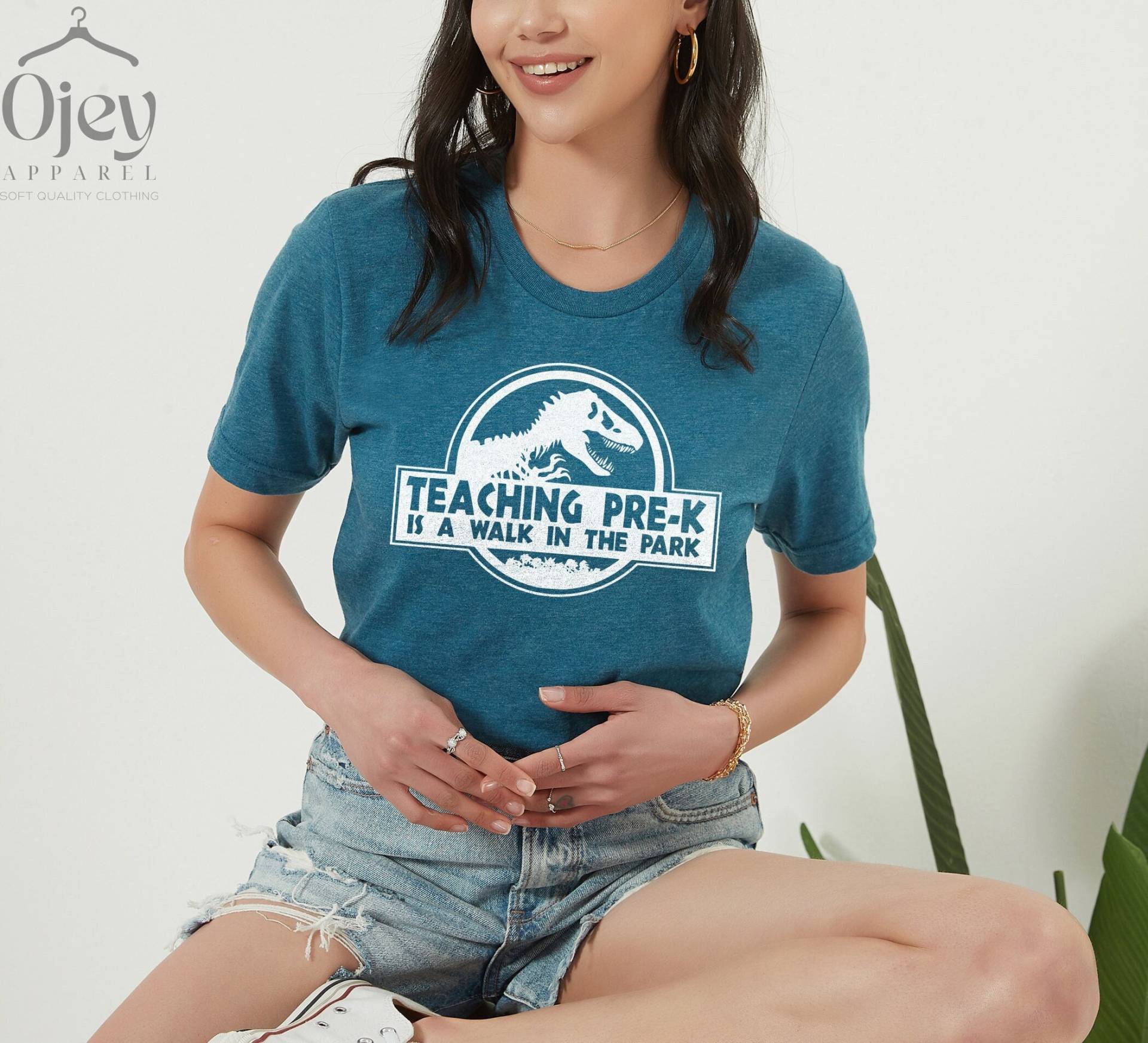 Pre-K Lehrer Shirts, Lustige Shirt Geschenk, Pre K Dinosaurier Shirt, Geschenke, Wertschätzung Geschenke von OJEYAPPAREL