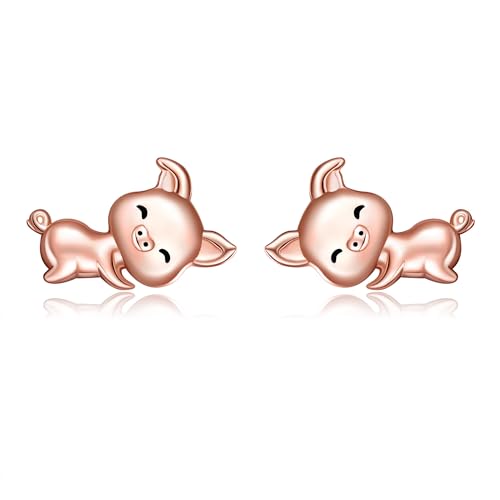 ONEFINITY Schwein Ohrringe 925 Sterling Silber Schwein Ohrstecker Süßes Schwein Schmuck Geschenk Für Damen Mädchen Tochter von ONEFINITY