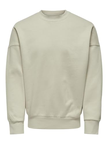 ONLY & SONS Herren ONSDAN Life RLX Heavy Sweat Crew NOOS Sweatshirt, Silver Lining, M von ONLY & SONS