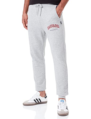 ONLY & SONS Men's ONSHARVARD REG Sweat Pants Sweathose, Light Grey Melange, M von ONLY & SONS