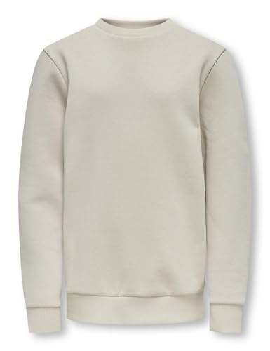 ONLY & SONS Osjceres Crew Neck SWT Noos von ONLY & SONS