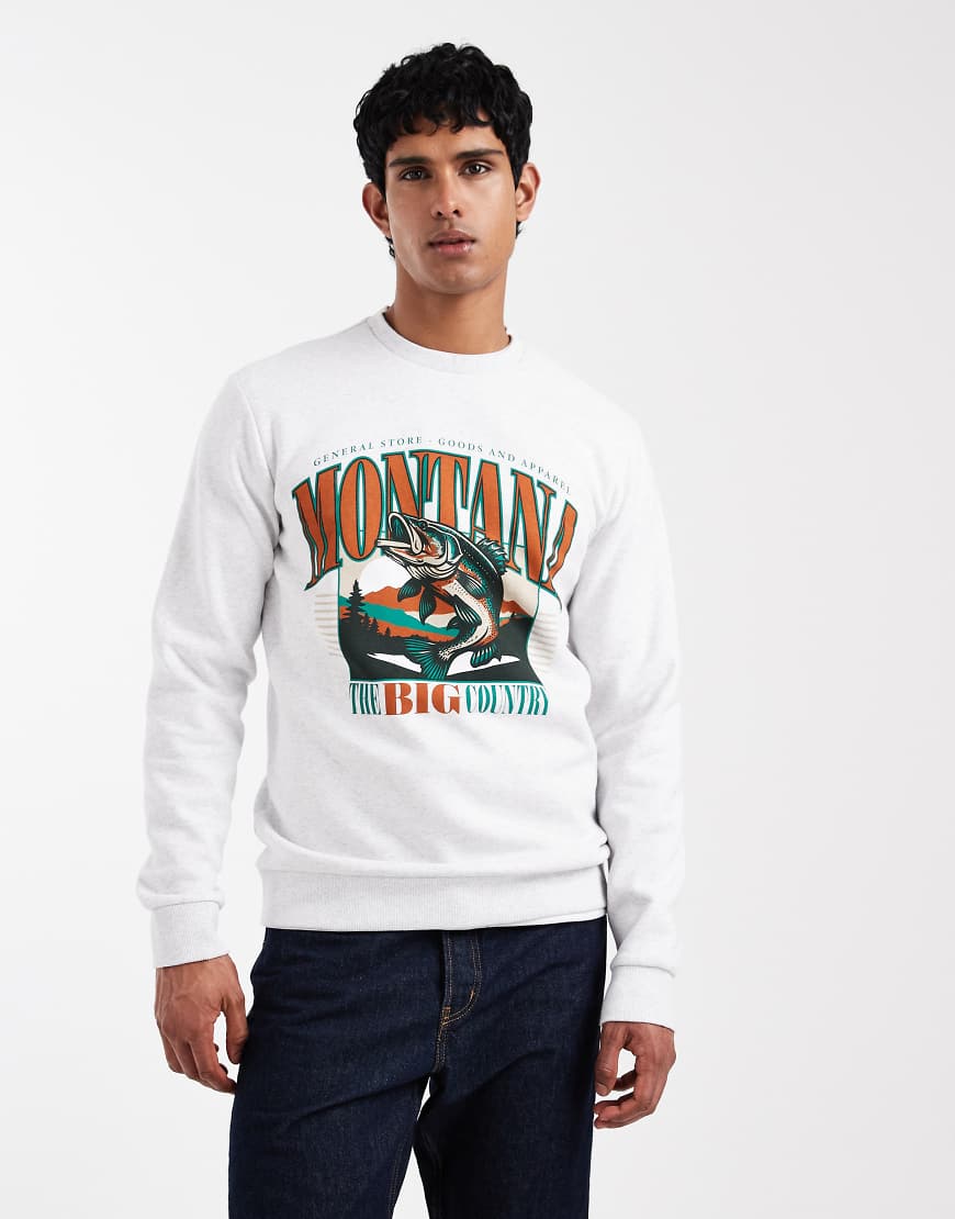 ONLY & SONS - Sweatshirt mit „Montana"-Print in Hellgrau von ONLY & SONS