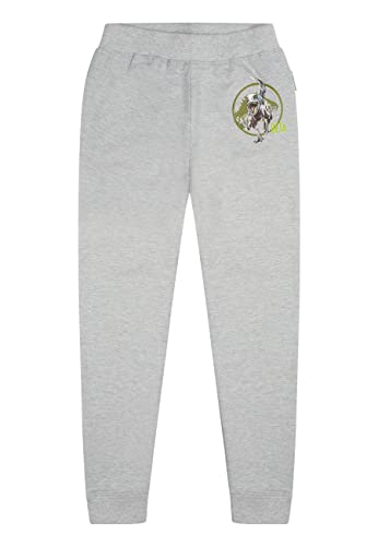 ONOMATO! Jurassic World Beta Jungen Jogging-Hose Kinder Trainingshose Grau, Größe Kids:104 von ONOMATO!