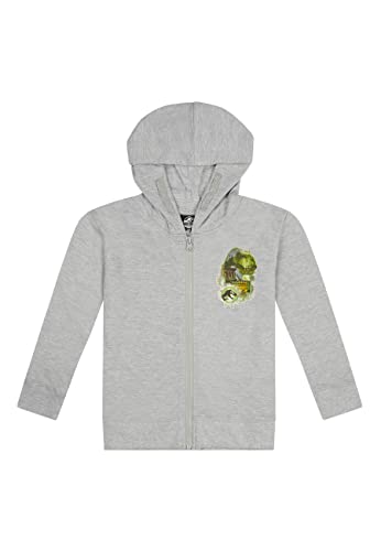 ONOMATO! Jurassic World Sweatjacke Pullover-Jacke Hoodie Kapuze Kapuzenjacke Reißverschluss Grau, Größe Kids:128 von ONOMATO!