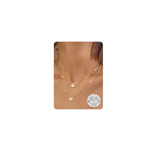 ORAZIO Schmetterling Herz Halsketten für Damen 925 Silber Rose Gold Halskette 14 Karat Vergoldete Zirkon Halskette Goldschmuck ORAZIO Schmetterling Herz Halsketten für Damen 925 Silber Rose Gold Halskette 14 Karat Vergoldete Zirkon Halskette Goldschmuck von ORAZIO