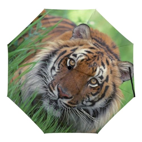 ORENZ Automatischer Regenschirm Tiger Faltbare Regenschirme Leichte Winddichte Regenschirme Tragbare Reiseschirme ORENZ Automatischer Regenschirm Tiger Faltbare Regenschirme Leichte Winddichte Regenschirme Tragbare Reiseschirme von ORENZ