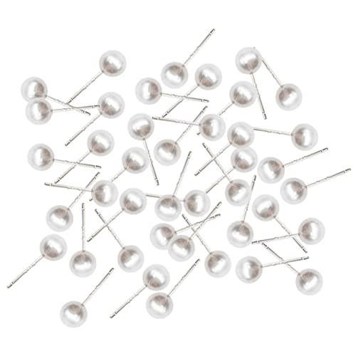 ORFOFE 100 Stück Teiliges Perlenohrring Damen Ohrstecker Silberstifte Leicht Elegant Schmuck für Party Alltag und Valentinstag von ORFOFE