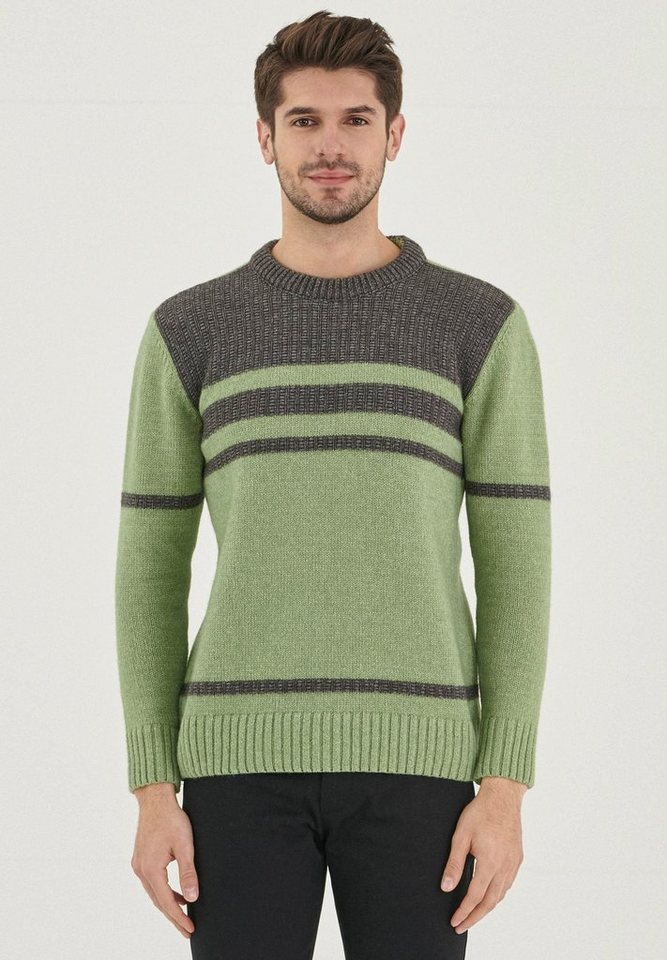 ORGANICATION Sweater Men's Wool Sweater in Green von ORGANICATION