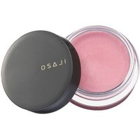 OSAJI - Nuance Face Color 03 Tsuioku OSAJI - Nuance Face Color 03 Tsuioku von OSAJI