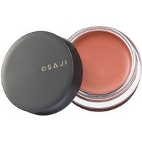 OSAJI - Nuance Face Color 04 Akebono OSAJI - Nuance Face Color 04 Akebono von OSAJI