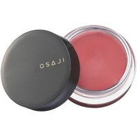 OSAJI - Nuance Face Color 05 Nobara OSAJI - Nuance Face Color 05 Nobara von OSAJI