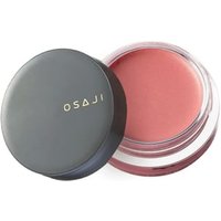 OSAJI - Nuance Face Color 09 Sasayaki OSAJI - Nuance Face Color 09 Sasayaki von OSAJI