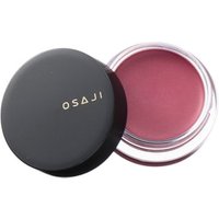 OSAJI - Nuance Face Color 12 Kyoutiki OSAJI - Nuance Face Color 12 Kyoutiki von OSAJI