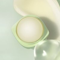 OSITREE - Natural Plant Essence Lip Balm - 2 Types Grape Seeds - 6g OSITREE - Natural Plant Essence Lip Balm - 2 Types Grape Seeds - 6g von OSITREE