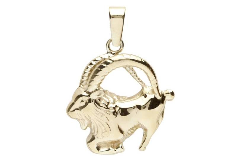 OSTSEE-SCHMUCK Kettenanhänger - Tierkreiszeichen Steinbock - Gold 333/000 -, (1-tlg) von OSTSEE-SCHMUCK