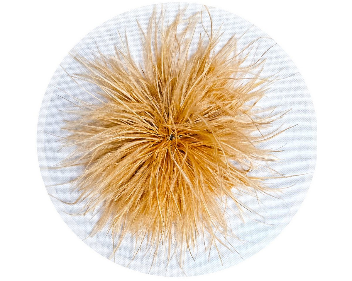 Brosche Federbrosche Beige Clip Antecker Federn Klammer Haarklammer Straußenfe von OTTO