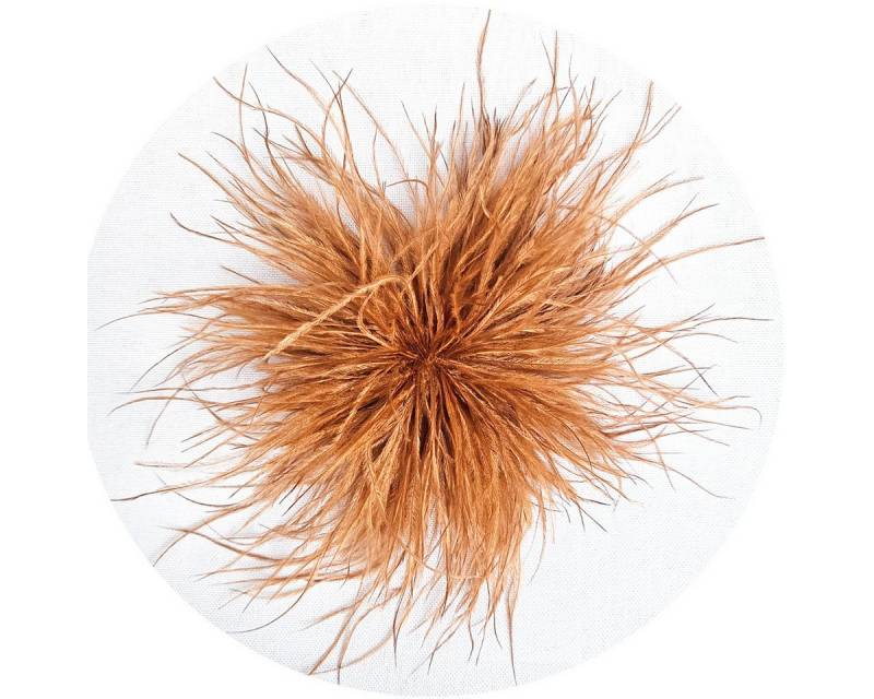 Brosche Federbrosche Cognac Clip Antecker Federn Klammer Haarklammer Straußenf von OTTO