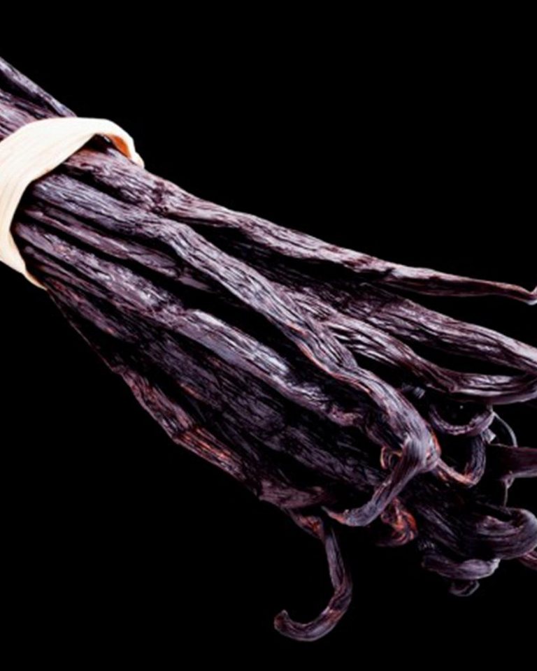 Eau de Parfum YODEYMA Parfum Luxor - Eau de Parfum für Damen (15 ml) von OTTO