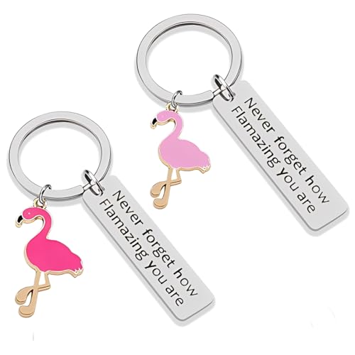OUDQFCJ 2 Stück Flamingo Geschenke für Frauen, Inspirierende und Motivierende Schlüsselanhänger, Mutmachende Geschenke,Flamingo Schlüsselanhänger von OUDQFCJ