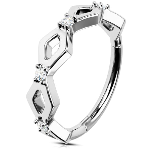 OUFER Body Piercing 16G 316L Surgical Steel Hinged Helix Ring Segment Lip Labret Tragus Septum Daith Rook Earrings Piercing Clicker for Women Men Boys Girls von OUFER Body Piercing