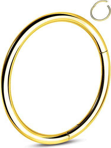 OUFER 20G Gold Nasenring Edelstahl 316L Nase Hoop Scharniert Segment Nase Piercing Knorpel Helix Tragus Conch Ohrring Piercing Schmuck für Frauen 6 mm von OUFER