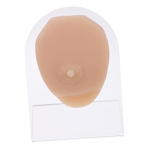 OUNONA Silikon Brustwarzenpiercing Modell Für Männer Übungswerkzeug Simulationsbrustwarzenpiercing Trainingshilfe Praxislehre von OUNONA