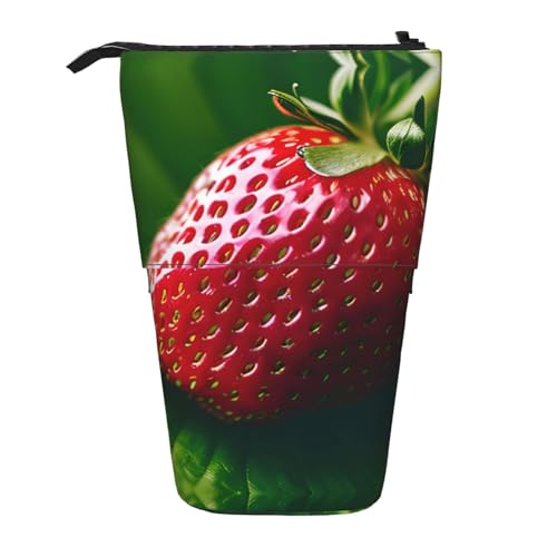 Strawberry vertikales einziehbares Federmäppchen, Schreibwaren-Box, Erwachsene, Büro, Organizer-Box von OUSXC