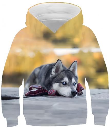 Ocean Plus Jungen Digitaldruck Kapuzenpullover mit Kängurutasche Mädchen Katze Sweatshirt Unisex Kinder Bunte Pulli mit Kapuzen (7-8 Jahre/125-135 cm, Husky Baby) von Ocean Plus