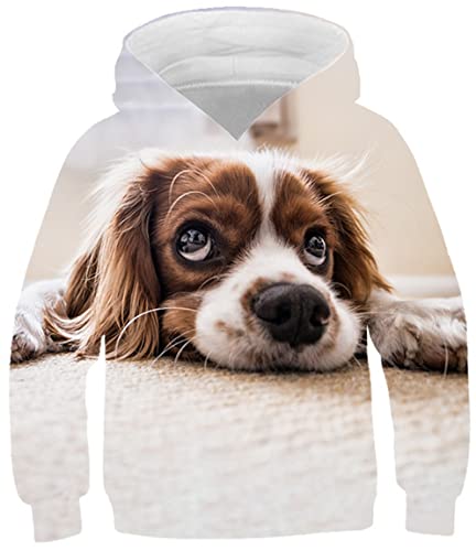 Ocean Plus Jungen Digitaldruck Langarm Sweatshirt mit Kapuzen Mädchen Schöner Kapuzenpullover Kinder Hooded Sweat Hoodies (9-10 Jahre/135-145 cm, Große Augen Hund) von Ocean Plus