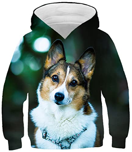 Ocean Plus Jungen Digitaldruck Langarm Sweatshirt mit Kapuzen Mädchen Schöner Kapuzenpullover Kinder Hooded Sweat Hoodies (9-10 Jahre/135-145 cm, Süßer Hund) von Ocean Plus