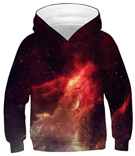 Ocean Plus Jungen Hoodie Tierdruck Kapuzenpulli mit Aufdruck Kapuzenpullover Kinder Sweatshirt Hooded Sweat (L (Körpergröße: 145-150cm), Flamme) von Ocean Plus