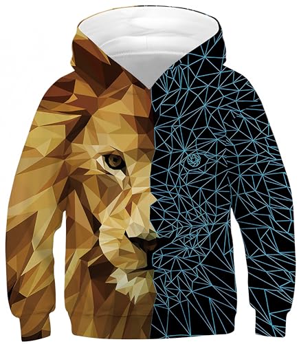 Ocean Plus Jungen Kapuzenpullover Bunt Teens Hoodie Kinder Langarm Pulli mit Kapuzen Sweatshirt Unisex Pullover (L (Körpergröße: 145-150cm), Geometrischer Linien Löwe) von Ocean Plus
