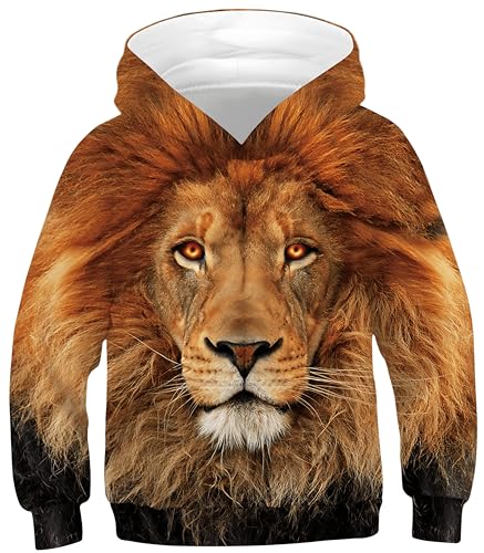 Ocean Plus Jungen Kapuzenpullover Bunt Teens Hoodie Kinder Langarm Pulli mit Kapuzen Sweatshirt Pullover (M (Körpergröße: 135-140cm), Löwe mit schwarzen Lochaugen) von Ocean Plus