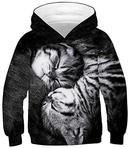 Ocean Plus Jungen Kapuzenpullover Bunt Teens Hoodie Kinder Langarm Pulli mit Kapuzen Sweatshirt Unisex Pullover (L (Körpergröße: 145-150cm), Zwei kleine Kätzchen) von Ocean Plus