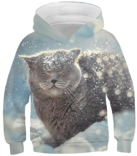 Ocean Plus Jungen Lange Ärmel Sweatshirt Tiere Digitaldruck Pulli mit Kapuzen Freizeit Sport Galaxie Kinder Kapuzenpullover (M (Körpergröße: 135-140cm), Katze im Schnee) von Ocean Plus