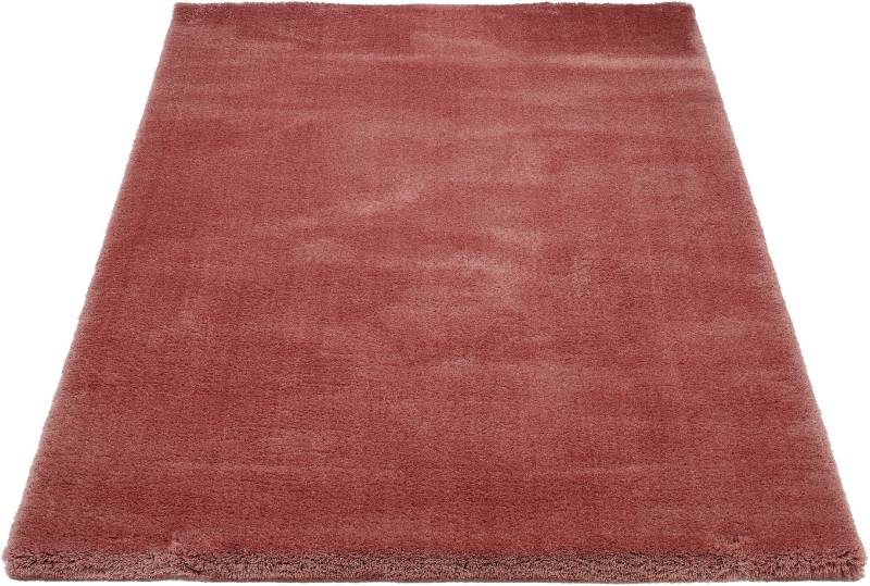 OCI DIE TEPPICHMARKE Hochflor-Teppich "Soft Dream, auch als Läufer erhältlich" rechteckig 30 mm Höhe besonders weich durch Microfaser, Wohnzimmer von Oci Die Teppichmarke