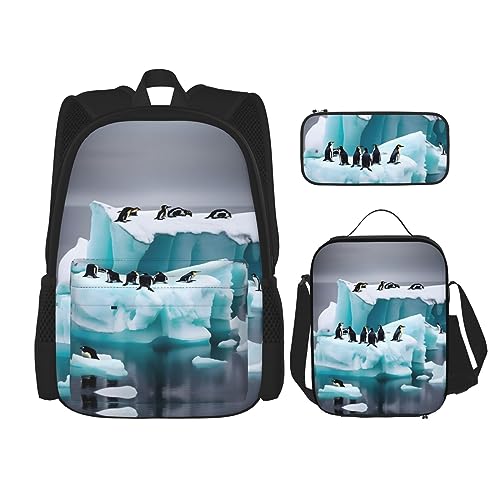 OdDdot Schultaschen-Sets Rucksäcke für Mädchen Schultaschen für Schüler Arbeit Mittagessen Tasche Federmäppchen Unisex Klavier mit Musiknoten -, Pinguine auf dem Eisberg, Einheitsgröße von OdDdot