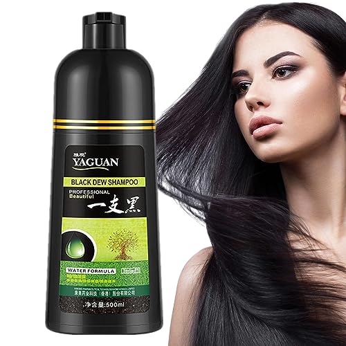 Kräutershampoo für schwarzes Haarfärbemittel - 500 ml Haarfärbendes Kräutershampoo in wenigen Minuten,Water Formula Antihaft-Shampoo für schwarze Kopfhaut und Haarfärbemittel für Männer und Odavom von Odavom