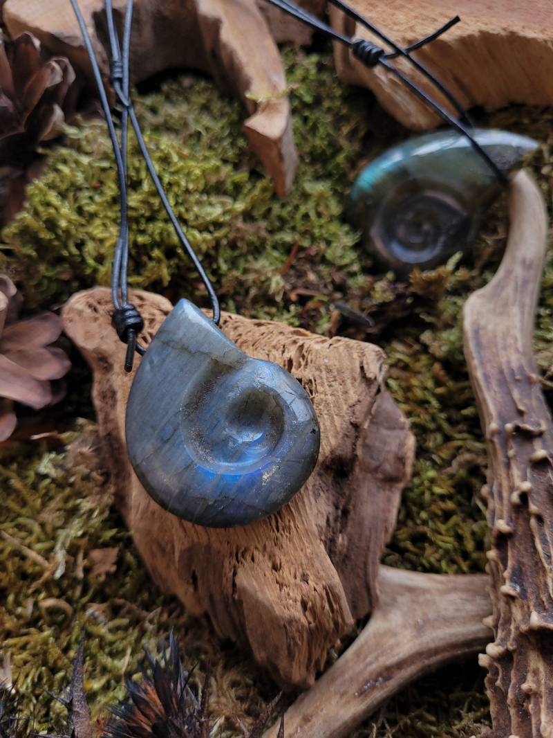 Wunderschöne Labradorit Halskette Amonite Shape - Jewelry Schmuck Gothic Natur Pendant Edelsteine Schutzstein Heilstein Rohe Turmalin Wunderschöne Labradorit Halskette Amonite Shape - Jewelry Schmuck Gothic Natur Pendant Edelsteine Schutzstein Heilstein Rohe Turmalin von OddsAndEndsCuriosity