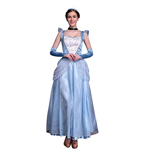 Odizli Cinderella Kleid Damen Erwachsene Aschenputtel Kostüm Prinzessin Lange Ballkleid mit Handschuhe Halloween Weihnachten Karneval Cosplay Party Verkleidung Costume Grau-Aschenputtel L von Odizli