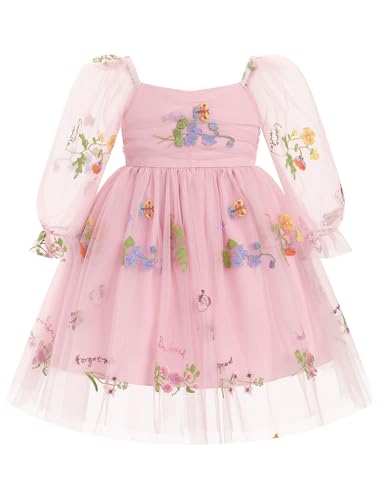 Odizli Kleider für Mädchen Baby Kinder Mesh Langarm Blume Stickerei Tüllkleid Erster 1. Geburtstag Hochzeit Festliches Einschulungs Winterkleid Taufkleid Fotoshooting Rosa Stickerei 3-4 Jahre von Odizli